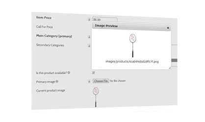 manage products